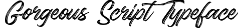 Gorgeous Script Typeface