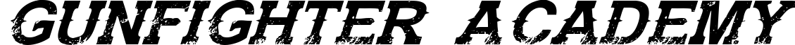 Gunfighter Academy