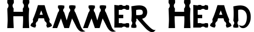 Hammer Head