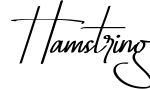 Hamstring