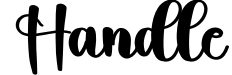 Handle
