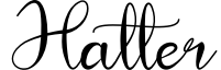 Hatter