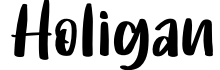 Holigan