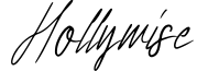 Hollywise