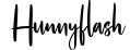 Hunnyflash