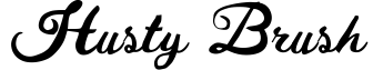 Husty Brush
