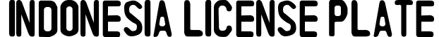 Indonesia License Plate