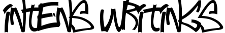 Intens Writings