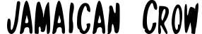 Jamaican Crow