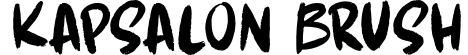 Kapsalon Brush