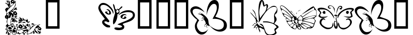 KR Butterflies