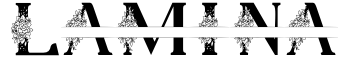 Lamina