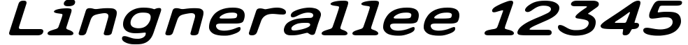 Lingnerallee 12345