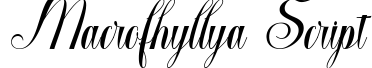 Macrofhyllya Script