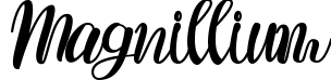 Magnillium