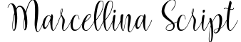 Marcellina Script