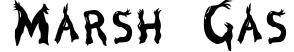 Marsh Gas