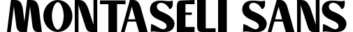Montaseli Sans