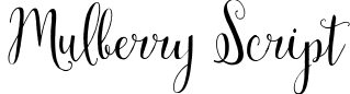 Mulberry Script
