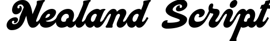 Neoland Script