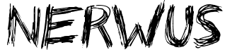 Nerwus