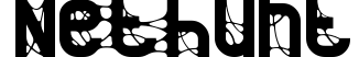 NetHunt
