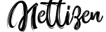 Nettizen