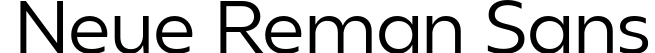 Neue Reman Sans