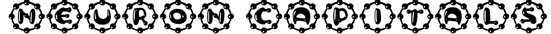 Neuron Capitals