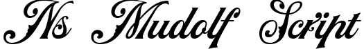 NS Mudolf Script