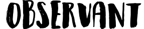 Observant