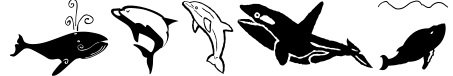 Orcas