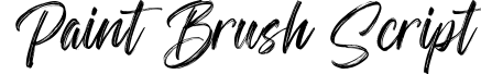 Paint Brush Script