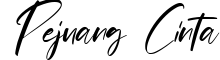 Pejuang Cinta