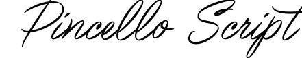 Pincello Script
