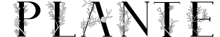 Plante