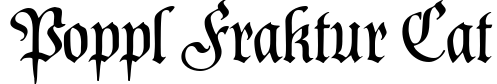 Poppl Fraktur CAT