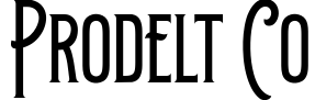 Prodelt Co