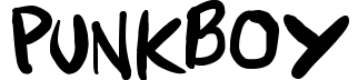 Punkboy
