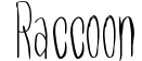 Raccoon