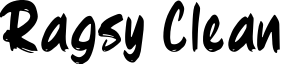 Ragsy Clean
