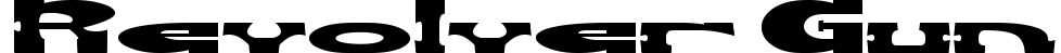 Revolver Gun