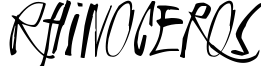 Rhinoceros