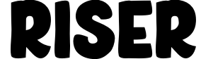 Riser