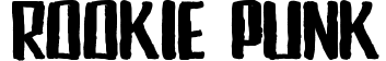 Rookie Punk