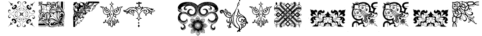 Rough Vignettes