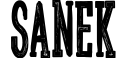 Sanek