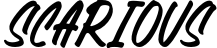 Scarious