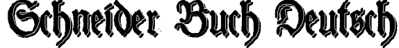 Schneider Buch Deutsch