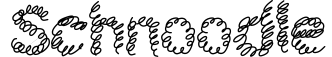 Schnoodle